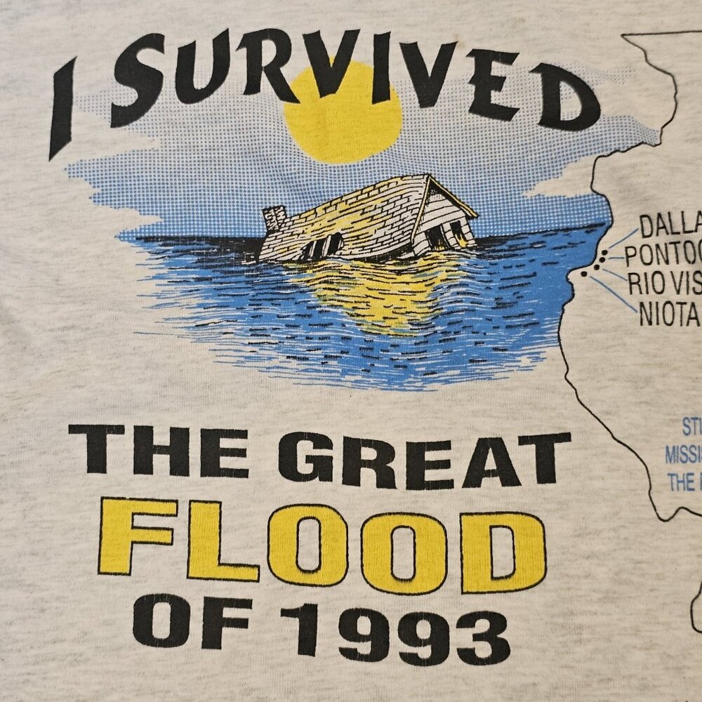 90s Mississippi River Flood Tshirt I Survived Tshirt Shirt Gray Sz S USA - Picture 4 of 11